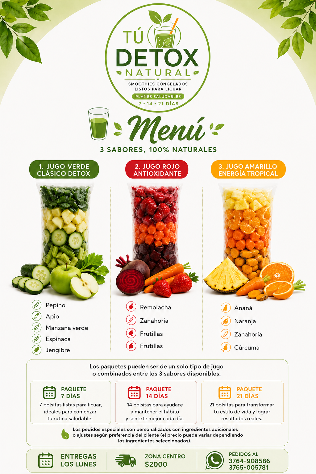 "TU DETOX NATURAL" - SMOOTHIES CONGELADOS LISTOS PARA LICUAR